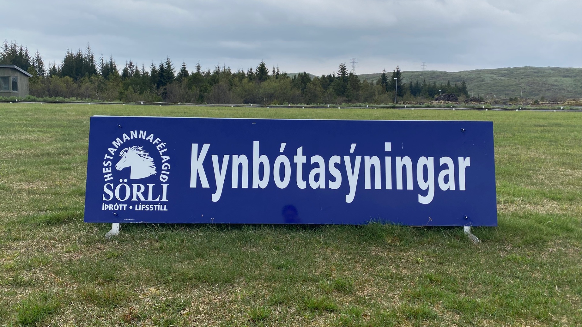 The Fabulous Alt Text